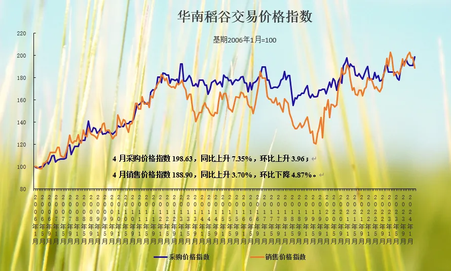 2024年4月华南稻谷价格指数点评